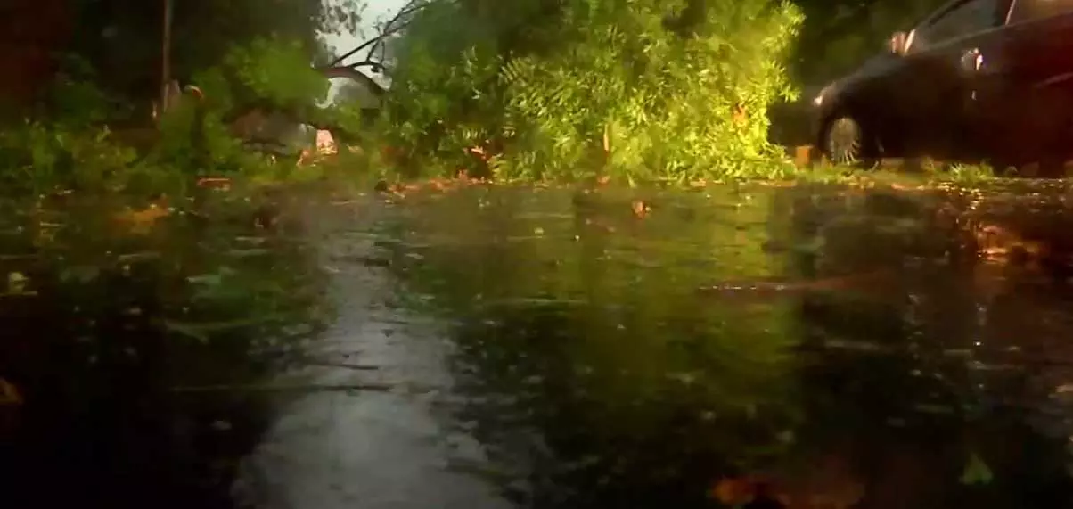 കനത്ത കാറ്റും മഴയും; ഡൽഹിയിൽ വ്യാപകനാശം, വിമാന സർവീസുകൾ തടസപ്പെട്ടു കനത്ത കാറ്റും മഴയും; ഡൽഹിയിൽ വ്യാപകനാശം, വിമാന സർവീസുകൾ തടസപ്പെട്ടു