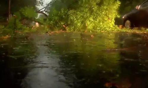 കനത്ത കാറ്റും മഴയും; ഡൽഹിയിൽ വ്യാപകനാശം, വിമാന സർവീസുകൾ തടസപ്പെട്ടു