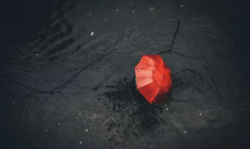 ഇന്ന് വ്യാപക മഴയ്ക്ക് സാധ്യത; 9 ജില്ലകളിൽ യെല്ലോ അലര്‍ട്ട്