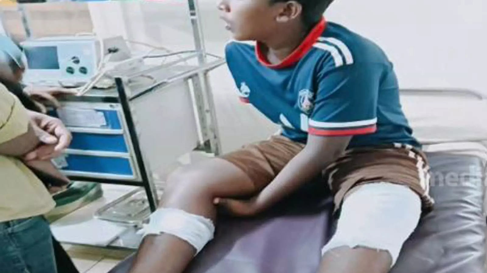 തിരുവമ്പാടിയിൽ വിദ്യാർഥിയെ ആക്രമിച്ച കാട്ടുപന്നിയെ വെടിവെച്ച് കൊന്നു