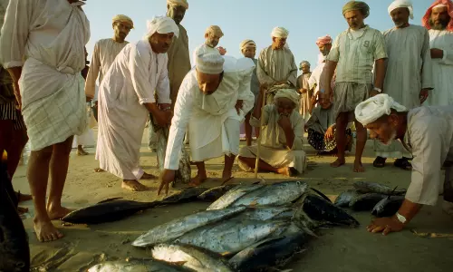 സൗദിയില്‍ പരമ്പരാഗത മല്‍സ്യ ബന്ധന മേഖലയില്‍ തൊഴിലെടുക്കുന്നവരുടെ എണ്ണത്തില്‍ വലിയ കുറവ്