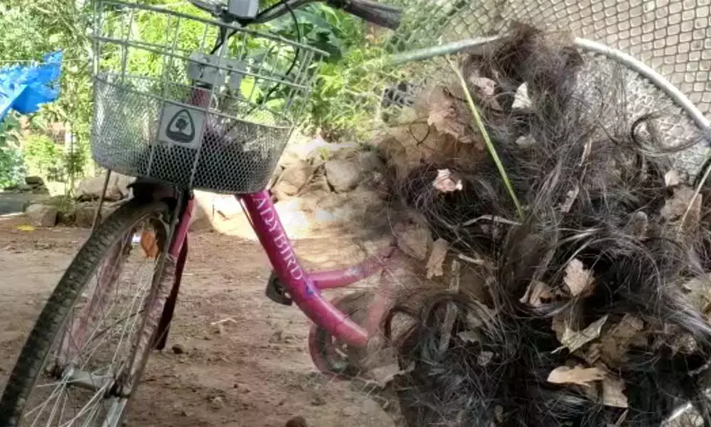 വമ്പന് ട്വിസ്റ്റ്, ഏഴാം ക്ലാസ് വിദ്യാര്ഥിനിക്ക് മർദ്ദനമേറ്റതായ പരാതി വ്യാജമെന്ന് പൊലീസ് വമ്പന് ട്വിസ്റ്റ്, ഏഴാം ക്ലാസ് വിദ്യാര്ഥിനിക്ക് മർദ്ദനമേറ്റതായ പരാതി വ്യാജമെന്ന് പൊലീസ്