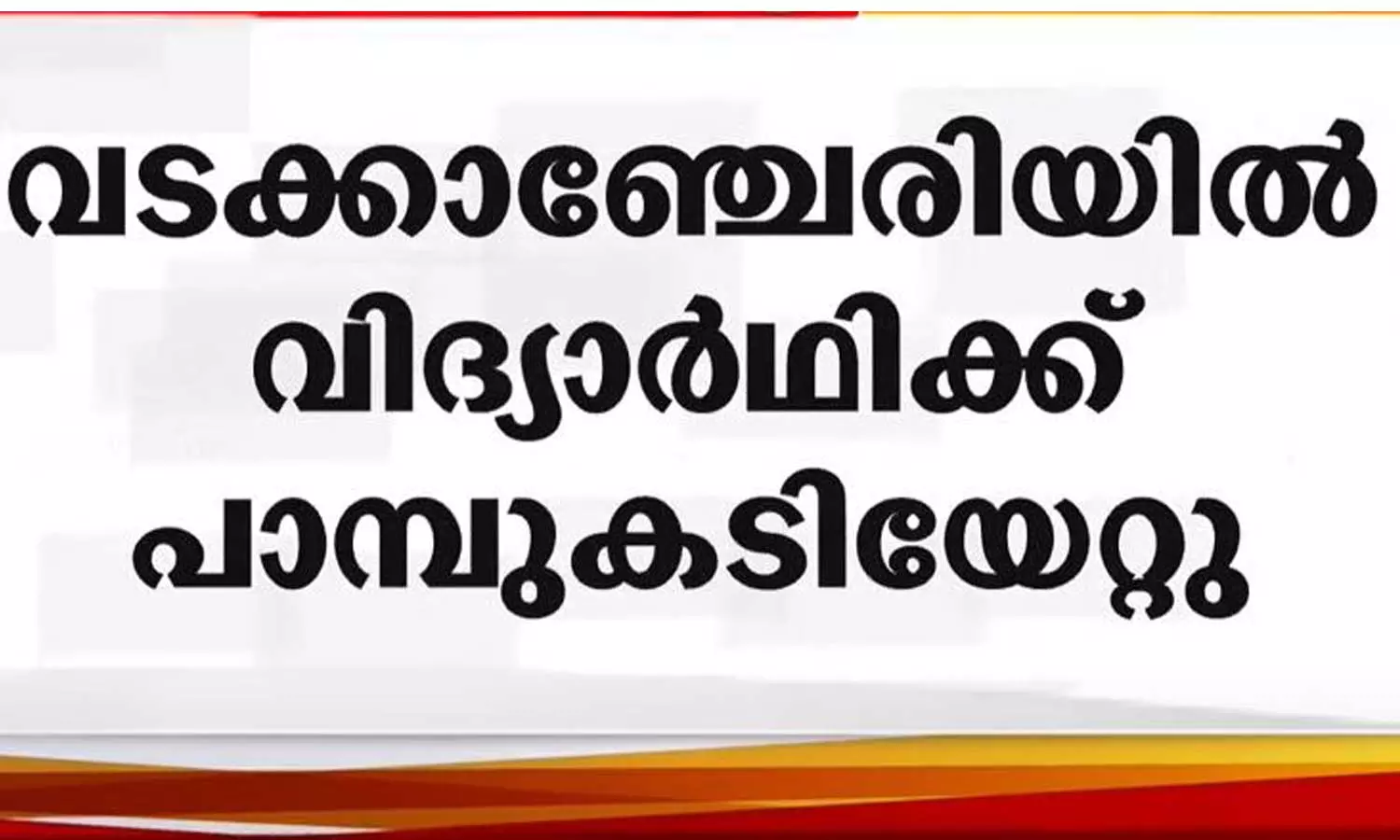 നാലാം ക്ലാസ് വിദ്യാർഥിക്ക് സ്‌കൂൾ മുറ്റത്ത് വെച്ച് പാമ്പുകടിയേറ്റു; കടിച്ചത് അണലി