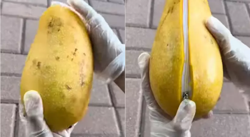 ഒറ്റനോട്ടത്തില് മാമ്പഴം, പക്ഷെ തുറന്നു നോക്കിയപ്പോഴോ? സോഷ്യല്മീഡിയയെ കണ്ഫ്യൂഷനടിപ്പിച്ച് ഒരു വീഡിയോ ഒറ്റനോട്ടത്തില് മാമ്പഴം, പക്ഷെ തുറന്നു നോക്കിയപ്പോഴോ? സോഷ്യല്മീഡിയയെ കണ്ഫ്യൂഷനടിപ്പിച്ച് ഒരു വീഡിയോ