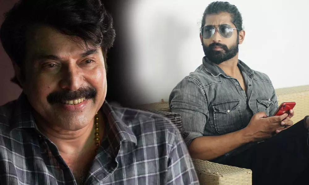 വീണ്ടുമൊരു ത്രില്ലര്‍ ചിത്രവുമായി മമ്മൂട്ടി; സംവിധാനം കലൂര്‍ ഡെന്നീസിന്‍റെ മകന്‍ ഡിനൊ ഡെന്നീസ്