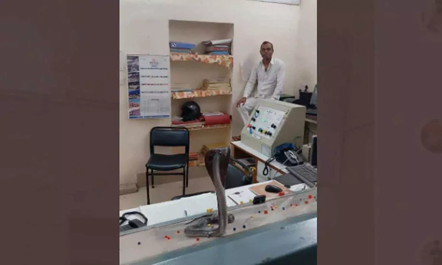 മുറിയിലെത്തിയ അപ്രതീക്ഷിത അതിഥിയെ കണ്ട് അമ്പരന്ന് റെയിൽവേ ഓഫീസർ മുറിയിലെത്തിയ അപ്രതീക്ഷിത അതിഥിയെ കണ്ട് അമ്പരന്ന് റെയിൽവേ ഓഫീസർ