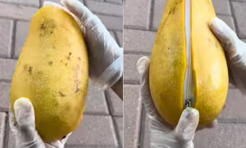 ഒറ്റനോട്ടത്തില് മാമ്പഴം, പക്ഷെ തുറന്നു നോക്കിയപ്പോഴോ? സോഷ്യല്മീഡിയയെ കണ്ഫ്യൂഷനടിപ്പിച്ച് ഒരു വീഡിയോ ഒറ്റനോട്ടത്തില് മാമ്പഴം, പക്ഷെ തുറന്നു നോക്കിയപ്പോഴോ? സോഷ്യല്മീഡിയയെ കണ്ഫ്യൂഷനടിപ്പിച്ച് ഒരു വീഡിയോ