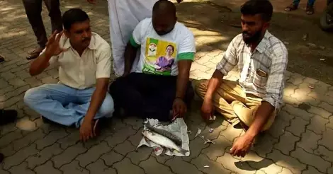 തിരുത മീനുമായി യു.ഡി.എഫ് പ്രതിഷേധം; തിരുതക്കറി എങ്ങനെയുണ്ടാക്കാം? കെ.വി തോമസിന് ട്രോളോട് ട്രോള് തിരുത മീനുമായി യു.ഡി.എഫ് പ്രതിഷേധം; തിരുതക്കറി എങ്ങനെയുണ്ടാക്കാം? കെ.വി തോമസിന് ട്രോളോട് ട്രോള്