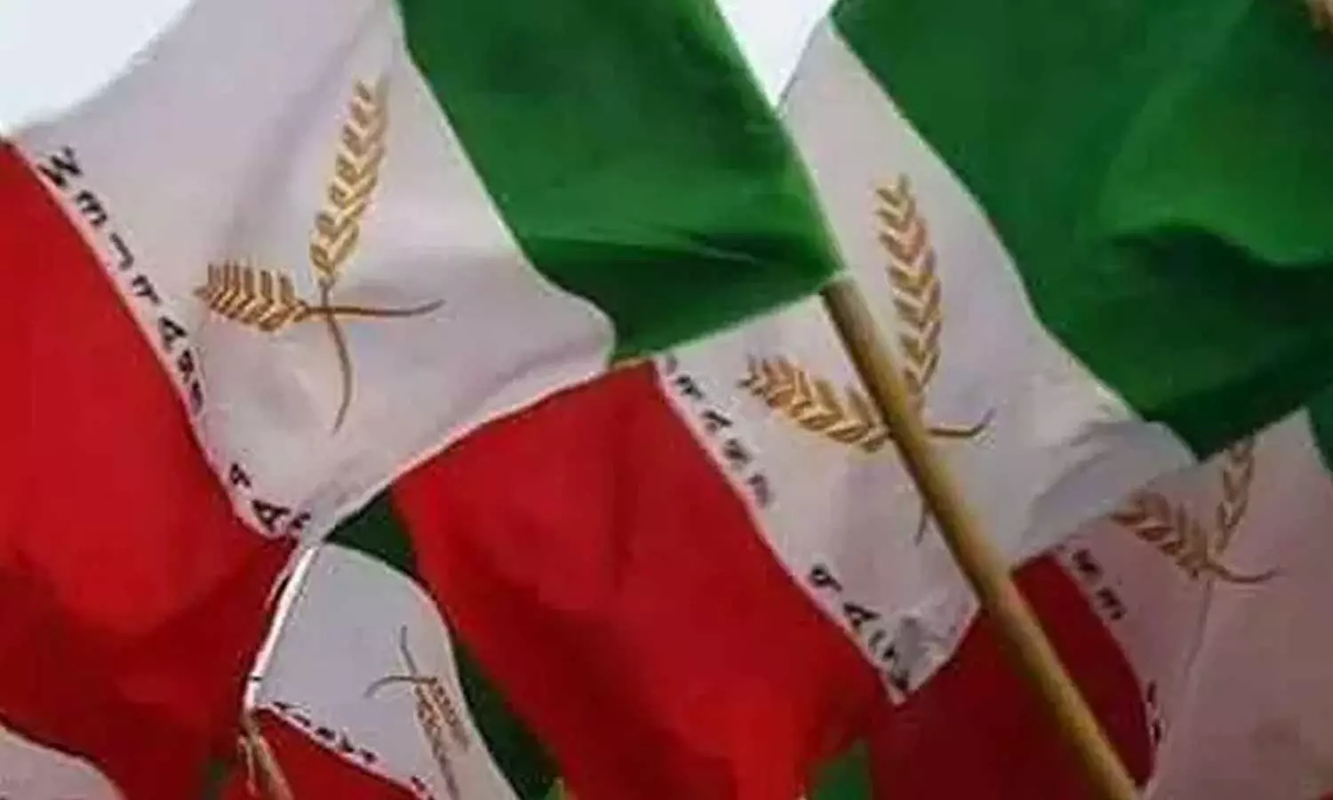 തൃക്കാക്കര ഫലം : മത സമൂഹങ്ങളെ തമ്മിലടിപ്പിച്ച് വിജയിക്കാനുള്ള സിപിഎം ശ്രമത്തിന് ലഭിച്ച കനത്ത പ്രഹരം - വെൽഫെയർ പാർട്ടി