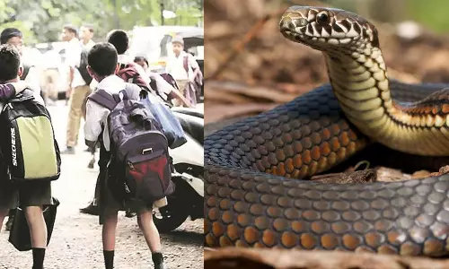 വിദ്യാർഥിക്ക് പാമ്പുകടിയേറ്റ സംഭവം : സമഗ്രമായ അന്വേഷണത്തിന് മന്ത്രിയുടെ നിർദേശം വിദ്യാർഥിക്ക് പാമ്പുകടിയേറ്റ സംഭവം : സമഗ്രമായ അന്വേഷണത്തിന് മന്ത്രിയുടെ നിർദേശം