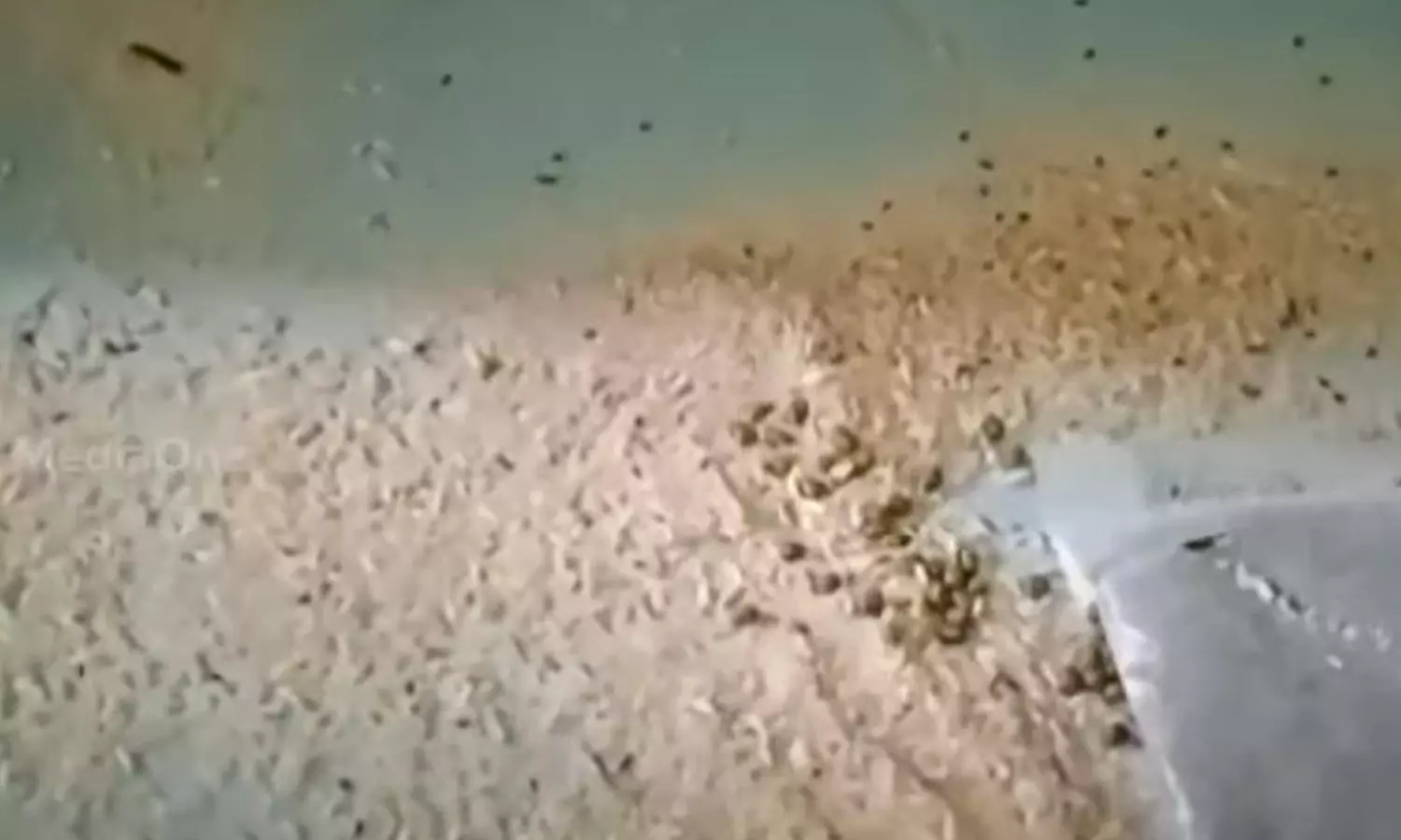 കൊട്ടാരക്കരയിൽ കുട്ടികൾക്ക് ഭക്ഷ്യവിഷബാധ: അംഗനവാടി വർക്കർക്കും സഹായിക്കും സസ്പെൻഷൻ