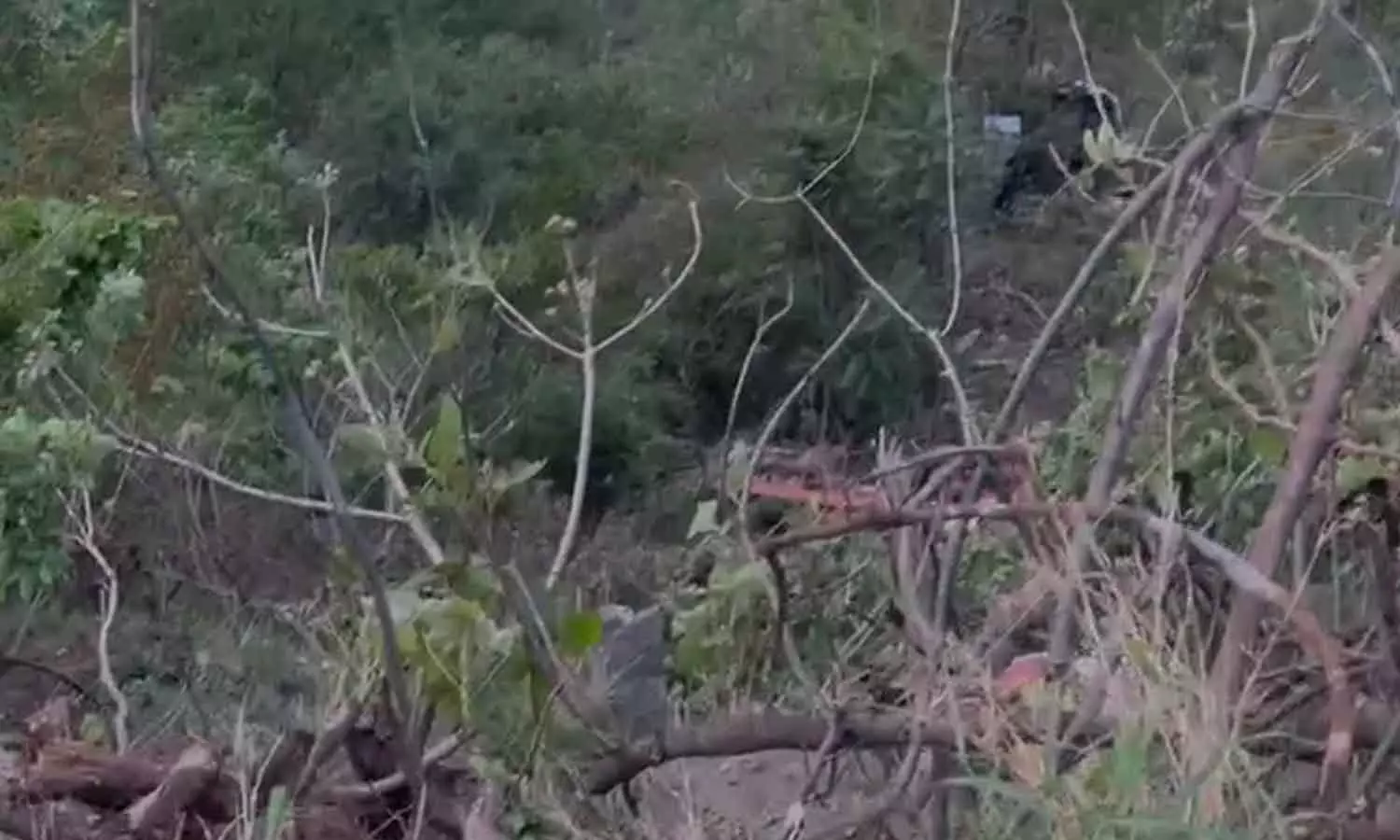 ഉത്തരാഖണ്ഡിൽ തീർഥാടകരുമായി പോയ ബസ് കൊക്കയിലേക്ക് മറിഞ്ഞ് 22 പേർ മരിച്ചു