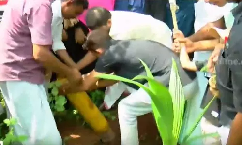 കെ റെയിൽ കുറ്റി പിഴുതെടുത്ത് മരത്തൈകൾ നട്ട് പ്രതിഷേധം