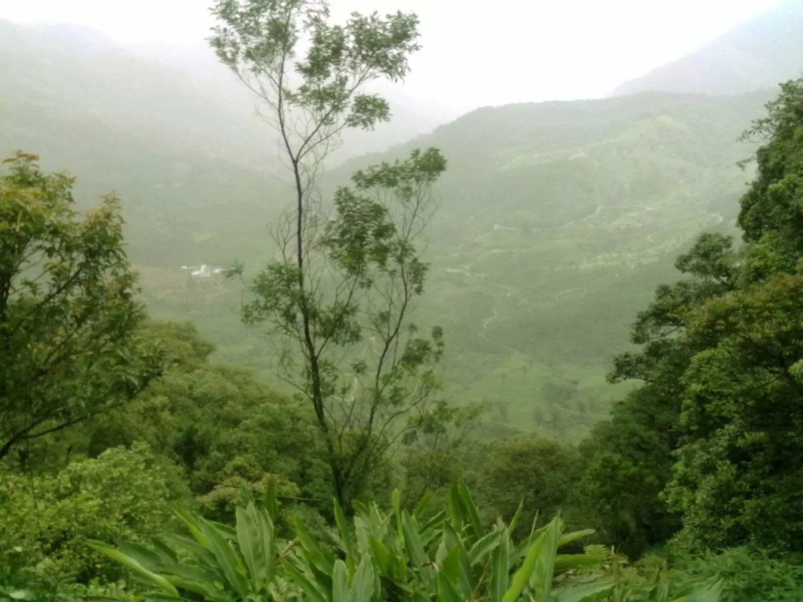 ബഫർ സോൺ വിഷയത്തിൽ സുല്ത്താന് ബത്തേരിയില് പ്രതിഷേധം കനക്കുന്നു; നാളെ ഹര്ത്താല് ബഫർ സോൺ വിഷയത്തിൽ സുല്ത്താന് ബത്തേരിയില് പ്രതിഷേധം കനക്കുന്നു; നാളെ ഹര്ത്താല്