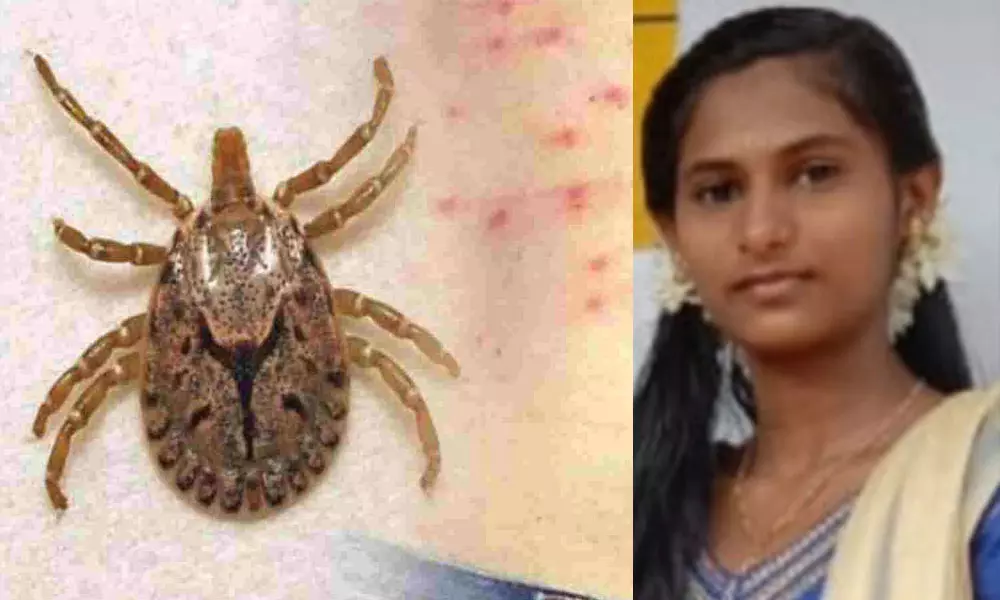 ചെള്ളുപനി ബാധിച്ച് 15-കാരി മരിച്ച സംഭവം: സ്ഥലം പ്രത്യേക സംഘം സന്ദര്‍ശിക്കുമെന്ന് മന്ത്രി വീണാ ജോര്‍ജ്