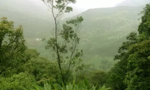 ബഫർ സോൺ വിഷയത്തിൽ സുല്‍ത്താന്‍ ബത്തേരിയില്‍ പ്രതിഷേധം കനക്കുന്നു; നാളെ ഹര്‍ത്താല്‍