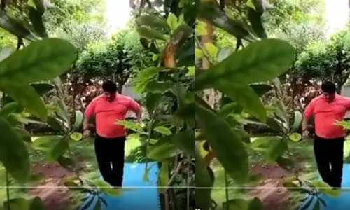 ഓരോ കിലോക്കും 1000 കോടി വീതം മണ്ഡലത്തിന് തരാമെന്ന് കേന്ദ്രമന്ത്രി; വ്യായാമം ചെയ്ത് തടി കുറച്ച്‌ ബിജെപി എം.പി