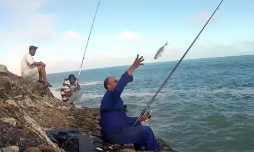 കുവൈത്തില്‍ മത്സ്യബന്ധന പെര്‍മിറ്റിന് ഇനിമുതല്‍  സഹല്‍ ആപ്പ് വഴി അപേക്ഷ സമര്‍പ്പിക്കാം