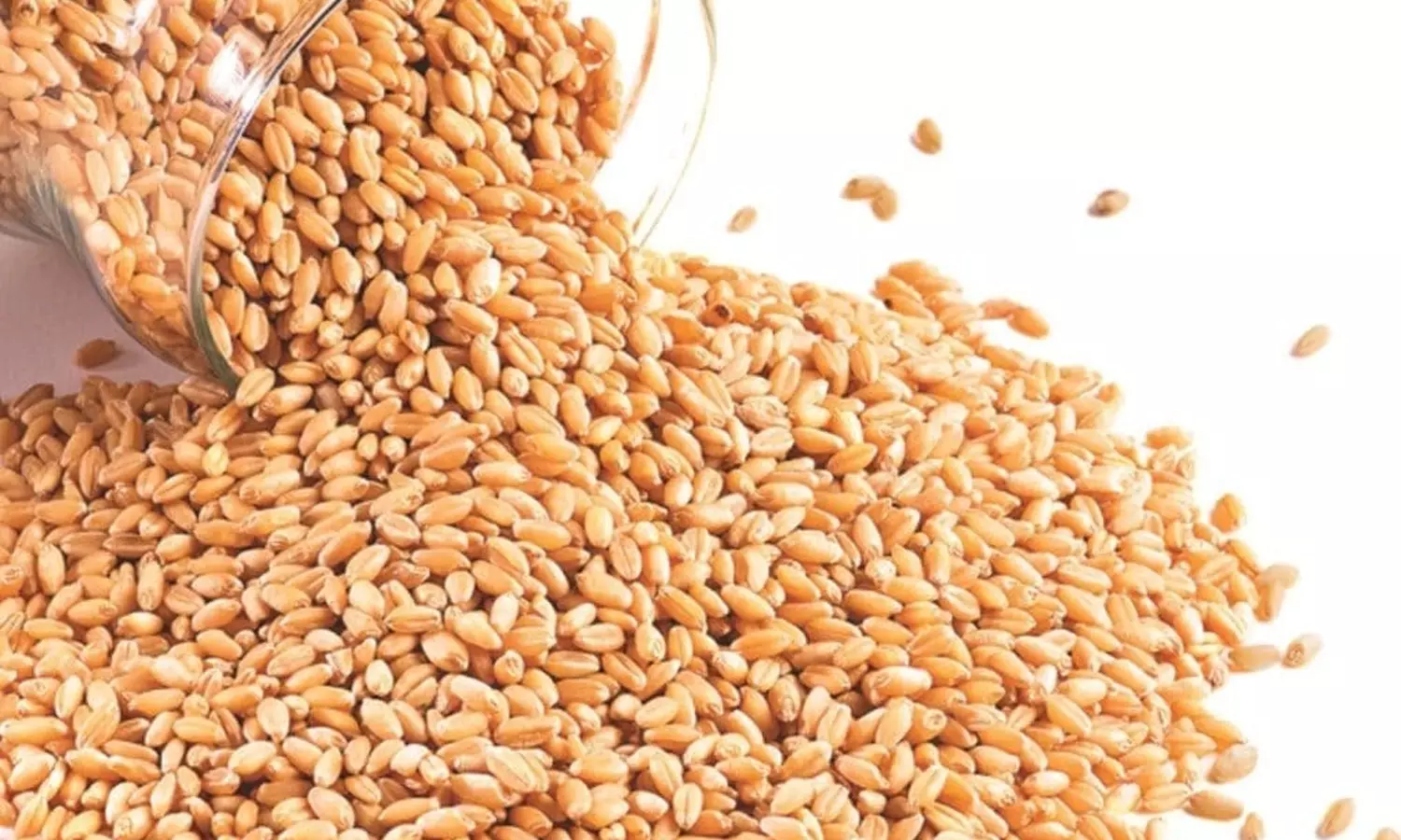 അന്ന് ഓക്സിജൻ നൽകിയവരാണ്; കുവൈത്തിന് ഗോതമ്പ് നൽകുമെന്ന് ഇന്ത്യ അന്ന് ഓക്സിജൻ നൽകിയവരാണ്; കുവൈത്തിന് ഗോതമ്പ് നൽകുമെന്ന് ഇന്ത്യ