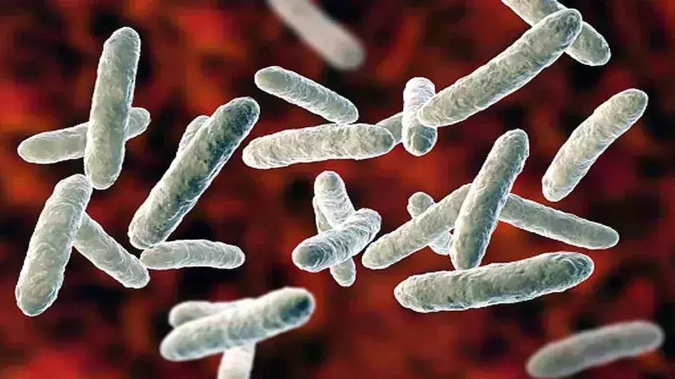 കോഴിക്കോട് മായനാട് ഏഴ് വയസ്സുകാരന് ഷിഗെല്ല