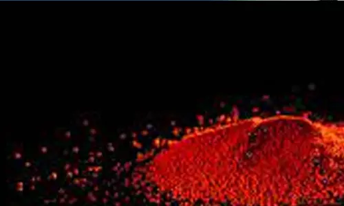 പൂജക്കിടെ വായിൽ കുങ്കുമം നിറച്ചു; നാലുവയസ്സുകാരിയുടെ മരണത്തിൽ അച്ഛൻ അറസ്റ്റിൽ പൂജക്കിടെ വായിൽ കുങ്കുമം നിറച്ചു; നാലുവയസ്സുകാരിയുടെ മരണത്തിൽ അച്ഛൻ അറസ്റ്റിൽ