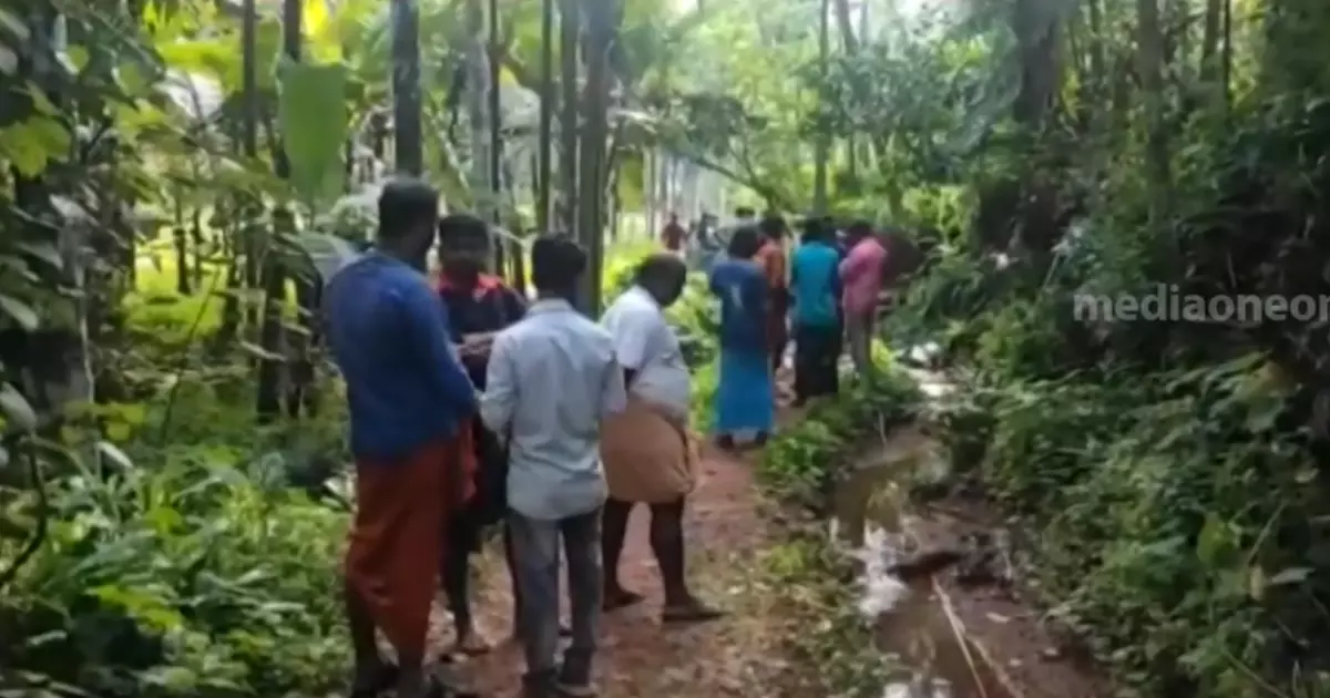 പൊട്ടിവീണ ലൈനിൽ നിന്ന് ഷോക്കേറ്റ് തിരുവനന്തപുരത്ത് ഒരാൾ മരിച്ചു പൊട്ടിവീണ ലൈനിൽ നിന്ന് ഷോക്കേറ്റ് തിരുവനന്തപുരത്ത് ഒരാൾ മരിച്ചു