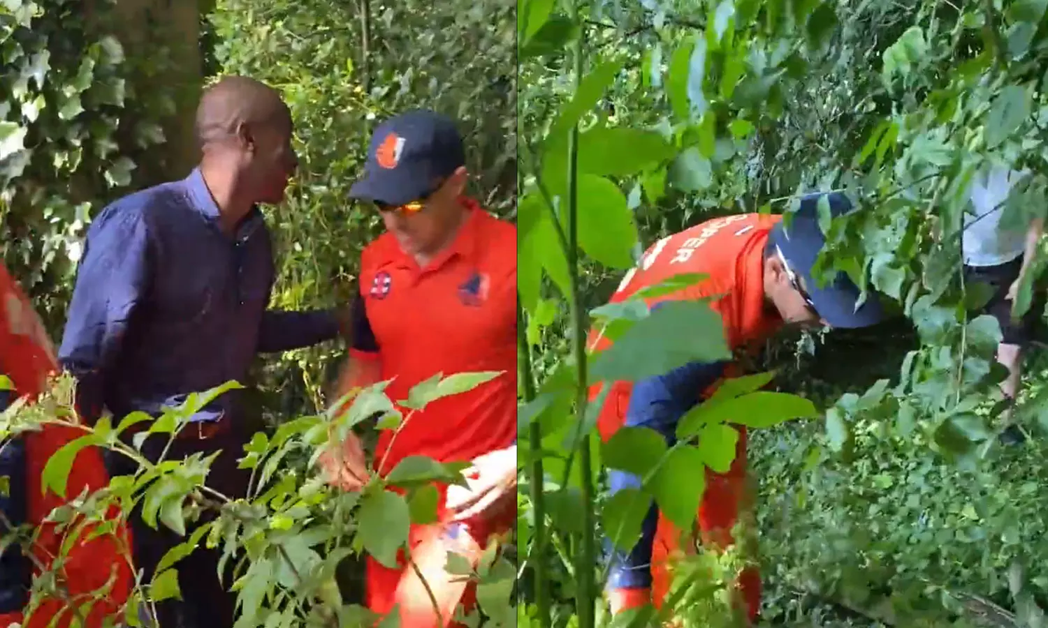 ഇതെന്താണ് കണ്ടാരാഷ്ട്ര ക്രിക്കറ്റോ ?- ഇംഗ്ലണ്ട്- നെതർലൻഡ്‌സ് മത്സരത്തിനിടെ കുറ്റിക്കാട്ടിൽ പന്ത് തെരഞ്ഞ് നെതർലൻഡ്‌സ് താരങ്ങൾ- വീഡിയോ