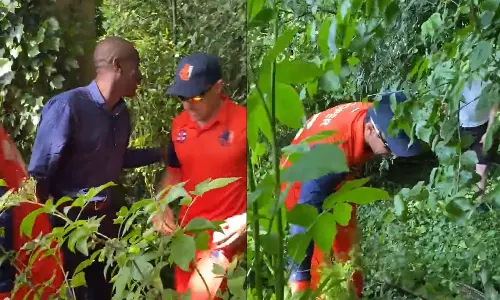 ഇതെന്താണ് കണ്ടാരാഷ്ട്ര ക്രിക്കറ്റോ ?- ഇംഗ്ലണ്ട്- നെതർലൻഡ്‌സ് മത്സരത്തിനിടെ കുറ്റിക്കാട്ടിൽ പന്ത് തെരഞ്ഞ് നെതർലൻഡ്‌സ് താരങ്ങൾ- വീഡിയോ