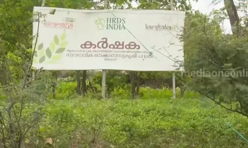 ആദിവാസി ഭൂമിയിൽ കൃഷി; അട്ടപ്പാടിയിൽ വീണ്ടും എച്ച്.ആർ.ഡി.എസിന്റെ നിയമ വിരുദ്ധ പ്രവർത്തനം