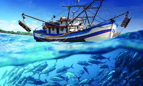 കുവൈത്തിൽ മത്സ്യ കയറ്റുമതിക്ക് നിയന്ത്രണം