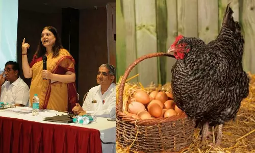 മുട്ടയിൽ കോഴിയുടെ ആർത്തവരക്തം; കുട്ടികൾക്ക് നൽകരുതെന്ന് മനേക ഗാന്ധി