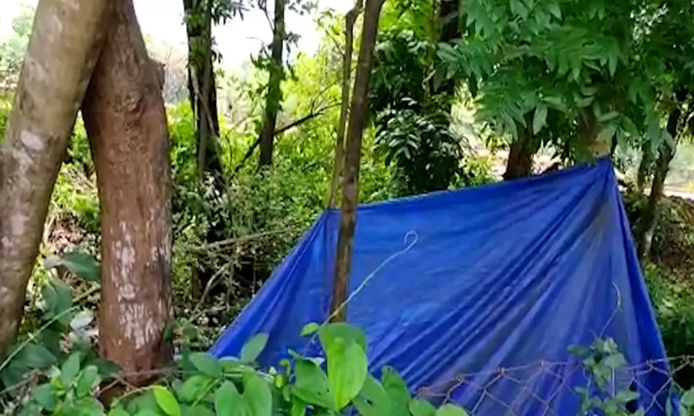 കെ.എ.പി ആസ്ഥാനത്തെ ചന്ദനമര മോഷണം: ഗുരുതര സുരക്ഷാ വീഴ്ച്ച സംഭവിച്ചതായി ആക്ഷേപം കെ.എ.പി ആസ്ഥാനത്തെ ചന്ദനമര മോഷണം: ഗുരുതര സുരക്ഷാ വീഴ്ച്ച സംഭവിച്ചതായി ആക്ഷേപം