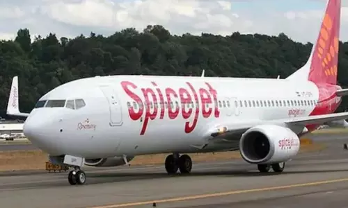 പക്ഷിയിടിച്ചു; ഞായറാഴ്ച തിരിച്ചിറക്കിയത് മൂന്ന്‌   വിമാനങ്ങൾ