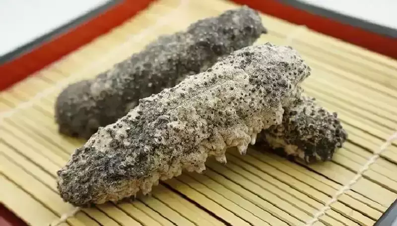 ഒമാനില് കടല്വെള്ളരി വിപണനം മൂന്ന് വര്ഷത്തേക്ക് നിരോധിച്ചു ഒമാനില് കടല്വെള്ളരി വിപണനം മൂന്ന് വര്ഷത്തേക്ക് നിരോധിച്ചു