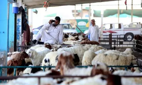 അറവ് ശാലകളിൽ എത്തേണ്ട; ദുബൈയിൽ ബലി കർമ്മങ്ങളുമായി ബന്ധപ്പെട്ട നടപടി മൊബൈൽ ആപ്പ് വഴി