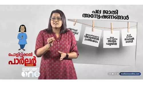 പല ജാതി അന്വേഷണങ്ങൾ