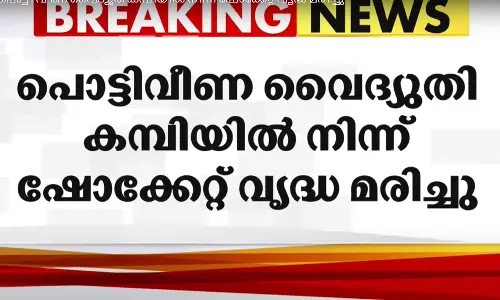 പത്തനംതിട്ടയിൽ പൊട്ടി വീണ വൈദ്യുത കമ്പിയിൽ നിന്ന് ഷോക്കേറ്റ് വൃദ്ധ മരിച്ചു