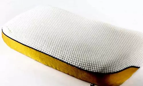 ലോകത്തിലെ ഏറ്റവും ചെലവേറിയ തലയിണ; വില വെറും 45 ലക്ഷം..! കാരണമിതാണ്