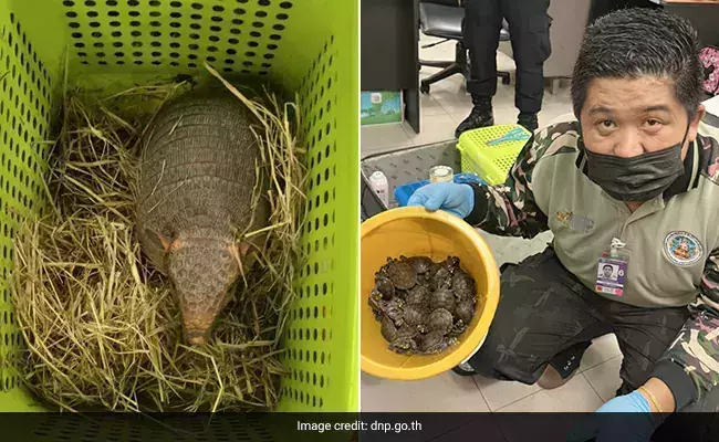 ലഗേജില്‍ ഒളിപ്പിച്ച് കടത്താന്‍ ശ്രമിച്ചത് 109 മൃഗങ്ങളെ; ബാങ്കോക്ക് വിമാനത്താവളത്തില്‍ ഇന്ത്യന്‍ യുവതികള്‍ അറസ്റ്റില്‍