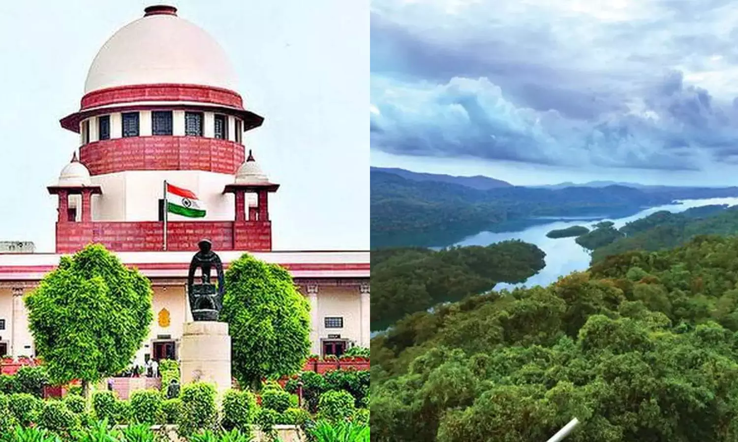 ബഫർസോൺ ഉത്തരവ് പരിഷ്കരിക്കണം; കേരളം സുപ്രിംകോടതിയിൽ ബഫർസോൺ ഉത്തരവ് പരിഷ്കരിക്കണം; കേരളം സുപ്രിംകോടതിയിൽ