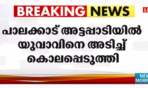 അട്ടപ്പാടിയില്‍ യുവാവിനെ അടിച്ചുകൊന്നു