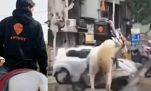 കനത്ത മഴയില് കുതിരപ്പുറത്ത് ഭക്ഷണമെത്തിച്ച് ഡെലിവറി ബോയ്; വീഡിയോ വൈറല് കനത്ത മഴയില് കുതിരപ്പുറത്ത് ഭക്ഷണമെത്തിച്ച് ഡെലിവറി ബോയ്; വീഡിയോ വൈറല്