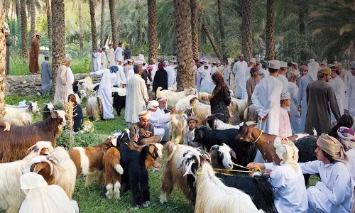 ബലിപെരുന്നാൾ അടുത്തതോടെ സജീവമായി ഒമാനിലെ ഗ്രാമീണ ചന്തകൾ