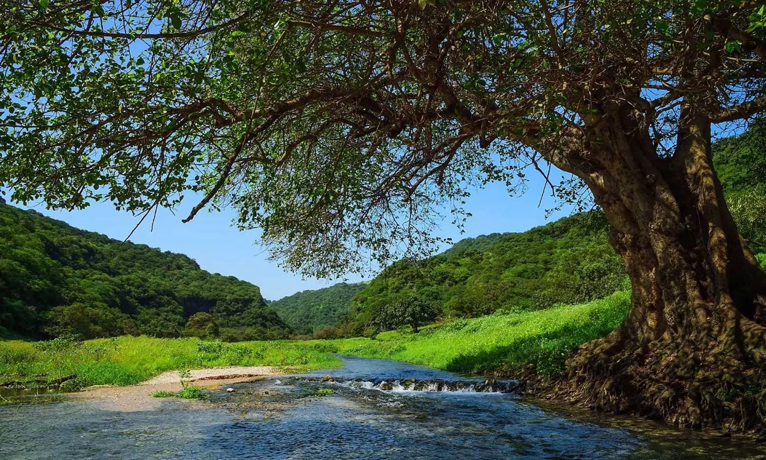 സലാലയിലെ പ്രധാന ടൂറിസ്റ്റ് കേന്ദ്രമായ വാദി ദർബാത്ത് താത്കാലികമായി അടച്ചു സലാലയിലെ പ്രധാന ടൂറിസ്റ്റ് കേന്ദ്രമായ വാദി ദർബാത്ത് താത്കാലികമായി അടച്ചു