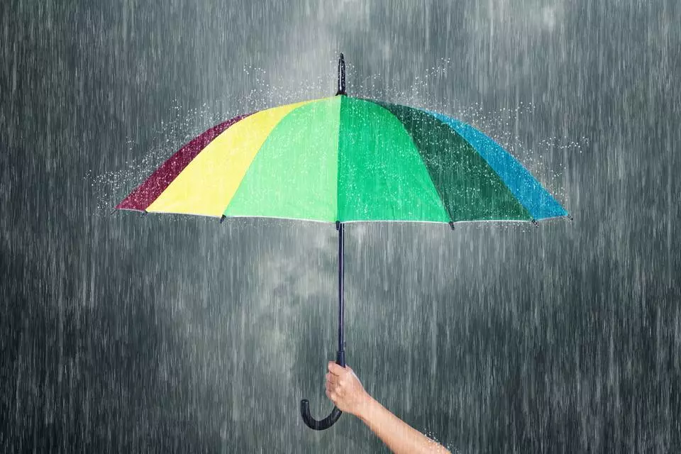 സംസ്ഥാനത്ത് ഇന്നും വ്യാപക മഴയ്ക്ക് സാധ്യത; 11 ജില്ലകളിൽ യെല്ലോ അലർട്ട് സംസ്ഥാനത്ത് ഇന്നും വ്യാപക മഴയ്ക്ക് സാധ്യത; 11 ജില്ലകളിൽ യെല്ലോ അലർട്ട്