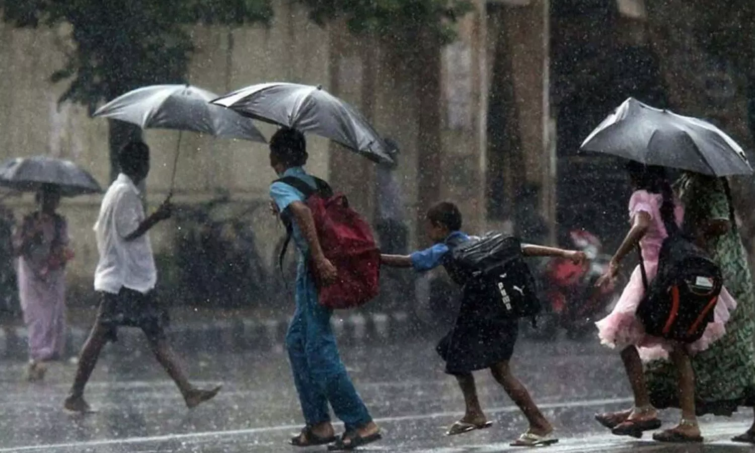 സാറേ, നാളെ സ്കൂളുണ്ടോ ? ചോദ്യം കേട്ട് കണ്ണൂർ കലക്ടറുടെ മറുപടി ഇങ്ങനെ സാറേ, നാളെ സ്കൂളുണ്ടോ ? ചോദ്യം കേട്ട് കണ്ണൂർ കലക്ടറുടെ മറുപടി ഇങ്ങനെ