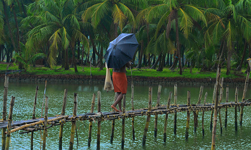 സംസ്ഥാനത്ത് കനത്ത മഴ തുടരുന്നു; 11 ജില്ലകളില്‍ യെല്ലോ അലര്‍ട്ട്