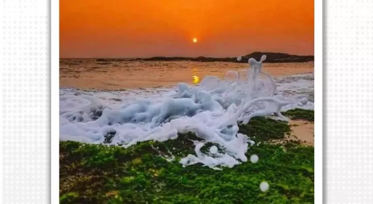 പ്രകൃതി ത്രിവര്‍ണ പതാക ഉയര്‍ത്തുമ്പോള്‍; അഭിമാനചിത്രം പങ്കുവച്ച് ഇന്ത്യാ ഗവണ്‍മെന്‍റ്