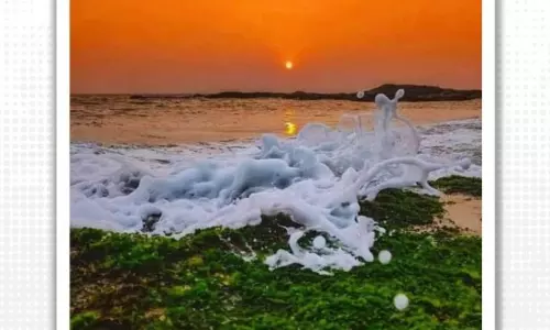 പ്രകൃതി ത്രിവര്‍ണ പതാക ഉയര്‍ത്തുമ്പോള്‍; അഭിമാനചിത്രം പങ്കുവച്ച് ഇന്ത്യാ ഗവണ്‍മെന്‍റ്