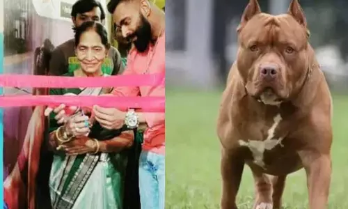 മകന്റെ വളർത്തുനായയുടെ കടിയേറ്റ് അമ്മക്ക് ദാരുണാന്ത്യം